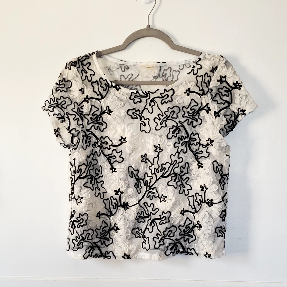 Anthropologie Meadow Rue Sheer Embroidered Top